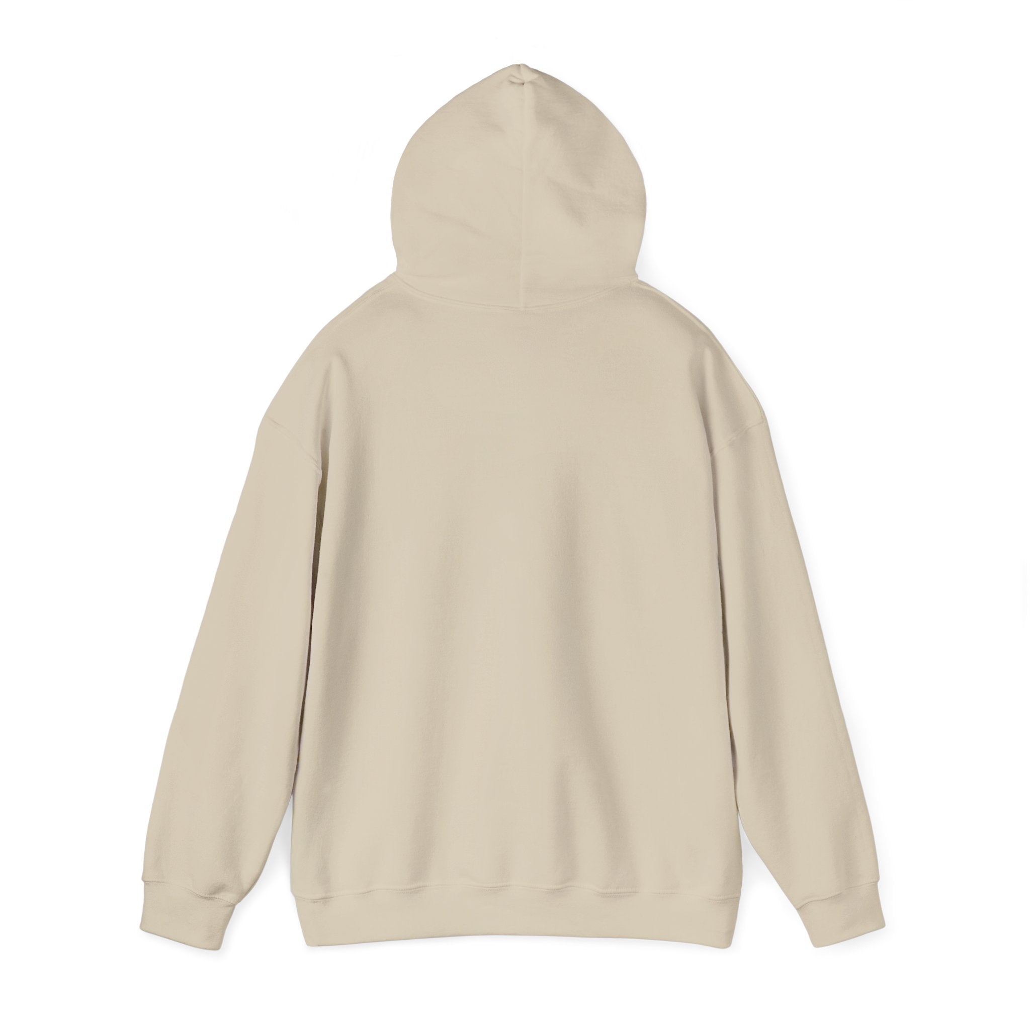 Autumn in Central Park Scene Hoodie
