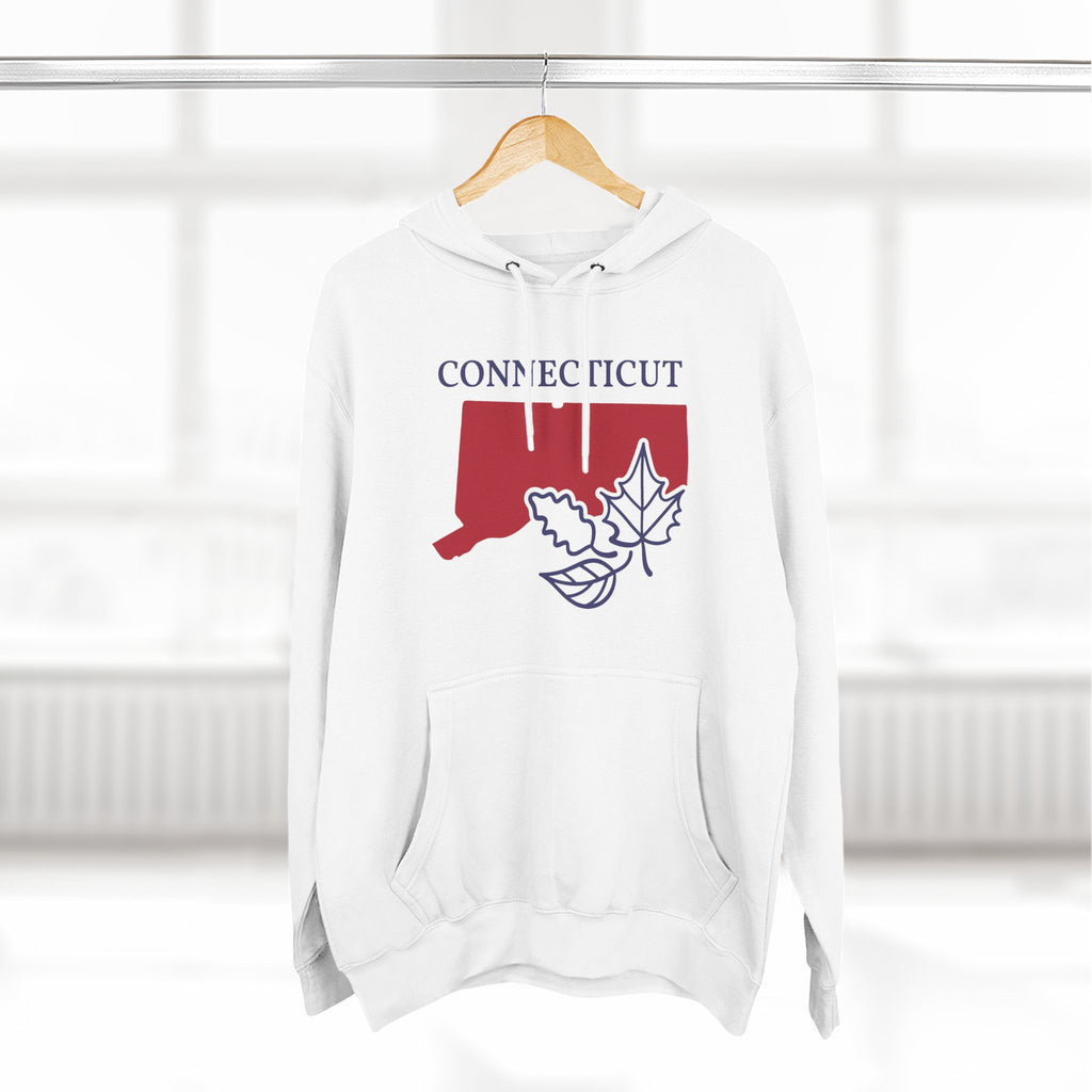 Connecticut Pride Unisex White Hoodie for Winter Glamour