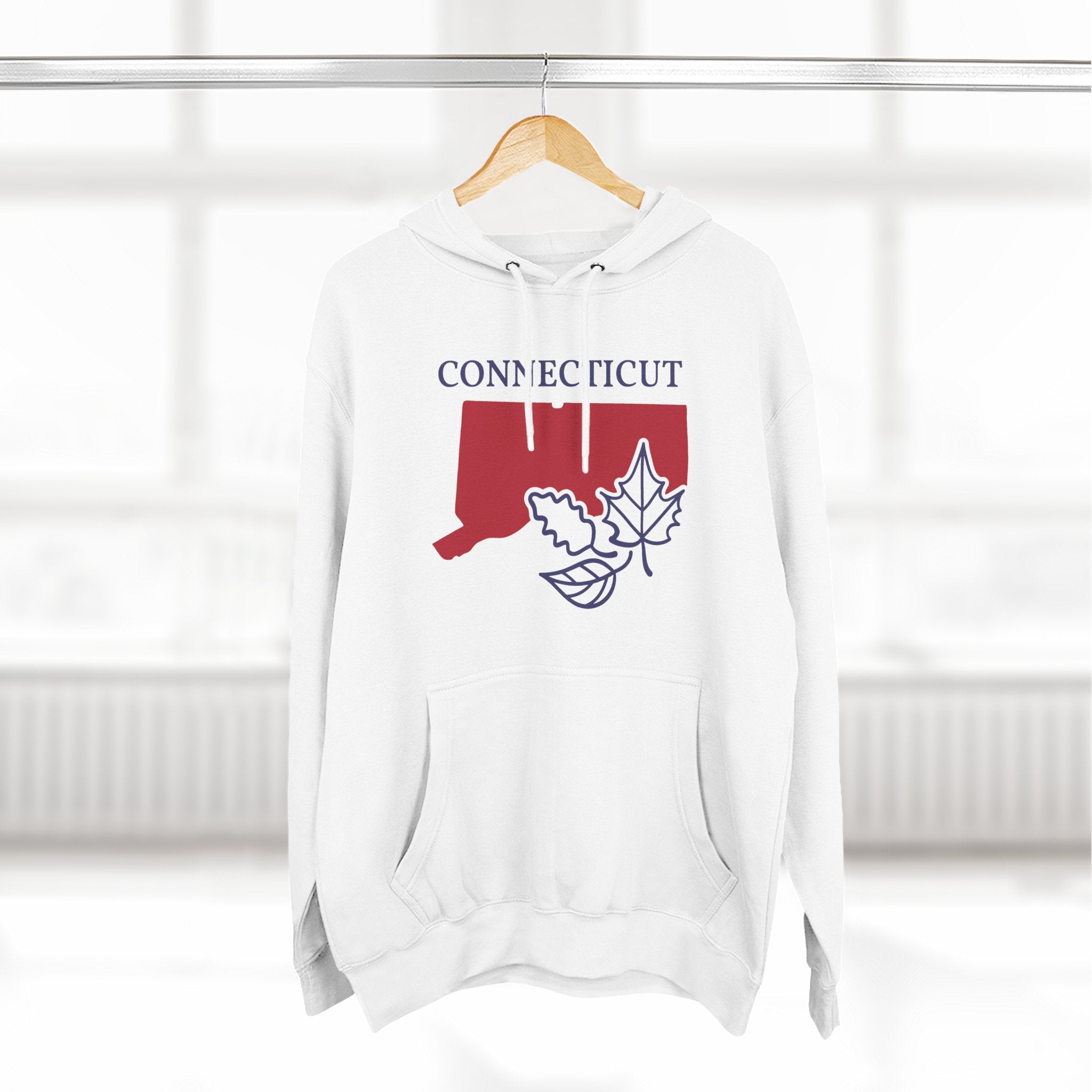 Connecticut Pride Unisex White Hoodie for Winter Glamour