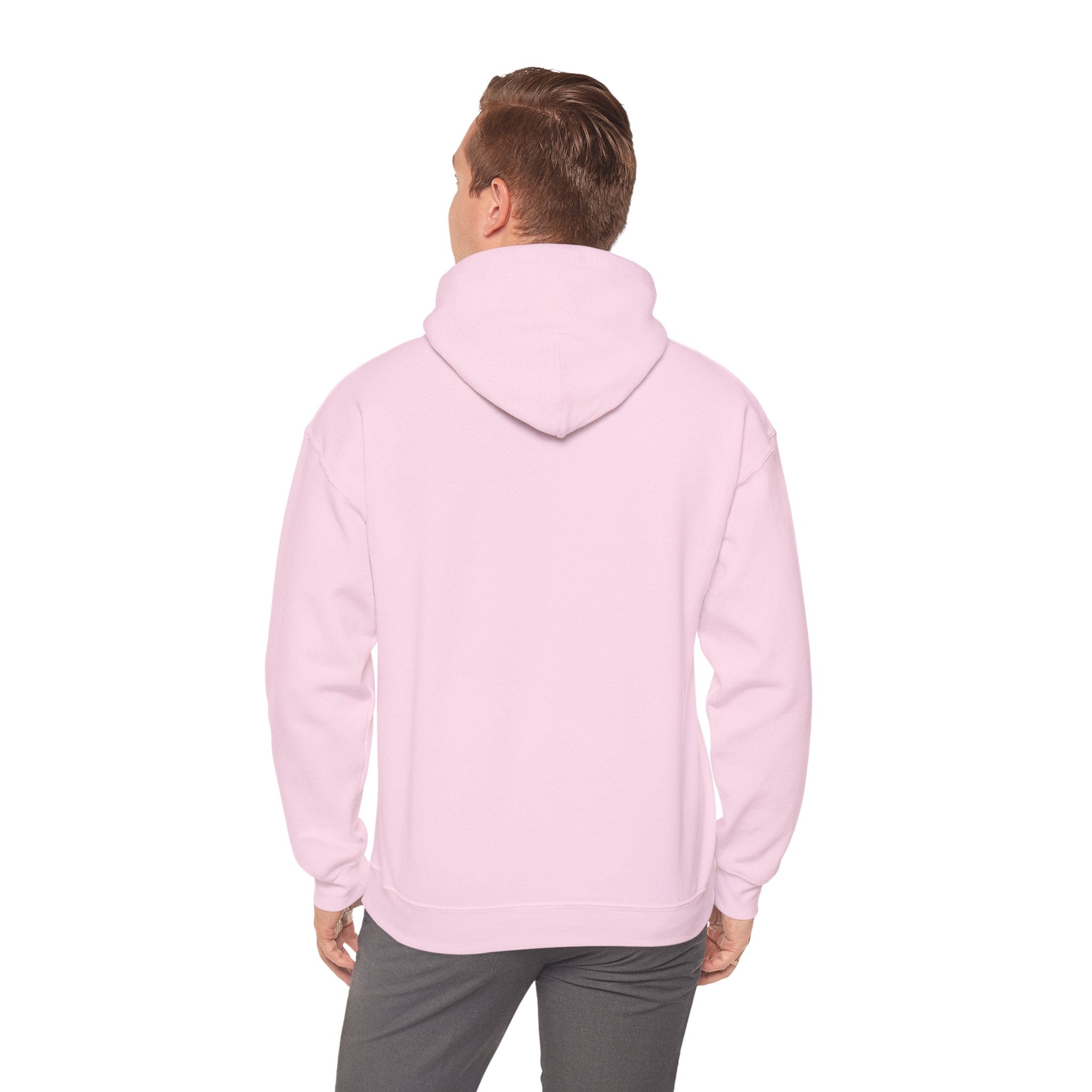Autumn in Central Park Scene Hoodie